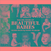 Big Book of Beautiful Babies