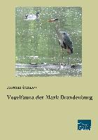 Vogelfauna der Mark Brandenburg