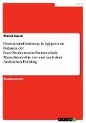 Demokratieförderung in Ägypten im Rahmen der Euro-Mediterranen-Partnerschaft. Menschenrechte vor und nach dem Arabischen Frühling