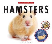 Hamsters