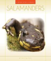 Salamanders