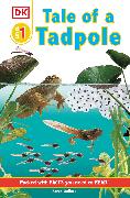 Tale of a Tadpole