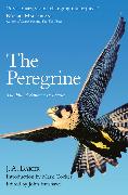 The Peregrine