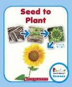 Seed to Plant