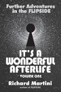 Its A Wonderful Afterlife