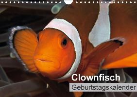 Clownfisch Geburtstagskalender (Wandkalender immerwährend DIN A4 quer)