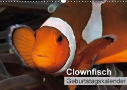 Clownfisch Geburtstagskalender (Wandkalender immerwährend DIN A3 quer)