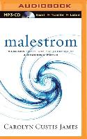 Malestrom: Manhood Swept Into the Currents of a Changing World