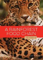 A Rainforest Food Chain