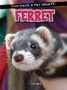 Ferret