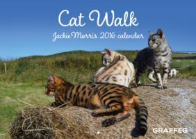 Cat Walk Calendar