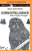 Superintelligence: Paths, Dangers, Strategies