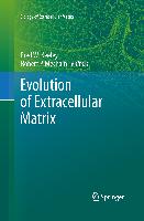 Evolution of Extracellular Matrix