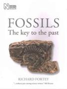 Fossils