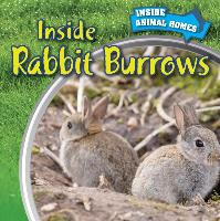 Inside Rabbit Burrows