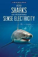 How Sharks and Other Animals Sense Electricity