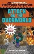 Attack on the Overworld