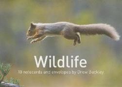 Wildlife by Drew Buckley Notecards: 10 Cards and Envelopes