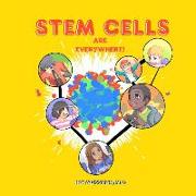 Stem Cells Are Everywhere