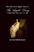 What If We Are the Angels? Volume 2: The Angels' Diary