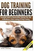 Dog Training for Beginners