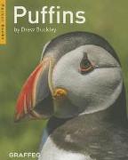 Puffins