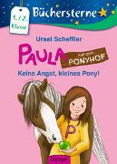 Paula auf dem Ponyhof 03: Keine Angst, kleines Pony!