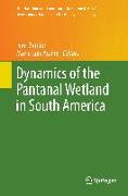 Dynamics of the Pantanal Wetland in South America