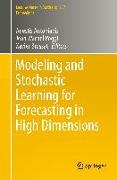 Modeling and Stochastic Learning for Forecasting in High Dimensions