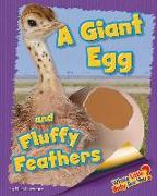 A Giant Egg and Fluffy Feathers (Ostrich)