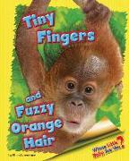 Tiny Fingers and Fuzzy Orange Hair (Orangutan)