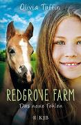 Redgrove Farm – Das neue Fohlen