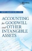 Accounting for Goodwill and Other Intangible Assets