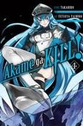 Akame Ga Kill!, Vol. 4