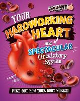 Your Hardworking Heart and Spectacular Circulatory System