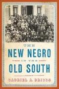 The New Negro in the Old South