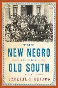 The New Negro in the Old South