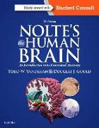 Nolte's the Human Brain