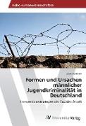 Formen und Ursachen männlicher Jugendkriminalität in Deutschland