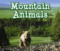 Mountain Animals