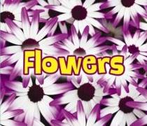 All About Flowers