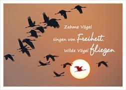 Postkarte. Zahme Vögel singen von Freiheit. Wilde Vögel fliegen. Autoaufkleber