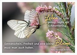 Postkarte. Leben ist nicht genug, sagte der Schmetterling. Sonnenschein, Freiheit und eine kleine Blume muss