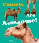 Camels Are Awesome!