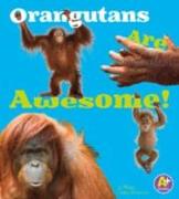 Orangutans are Awesome!