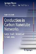 Conduction in Carbon Nanotube Networks