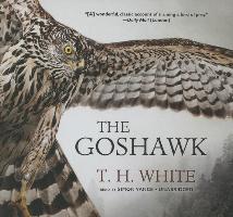 The Goshawk