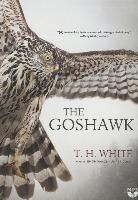 The Goshawk