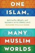 One Islam, Many Muslim Worlds: Spirituality, Identity, and Resistance Across Islamic Lands