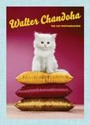 Walter Chandoha: The Cat Photographer